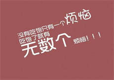 bt8app破解版
